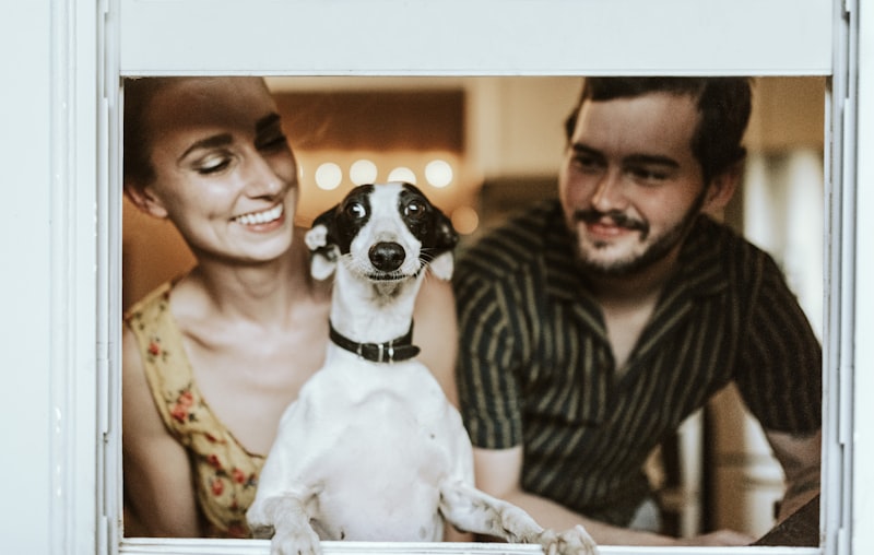 Productos PetDiva